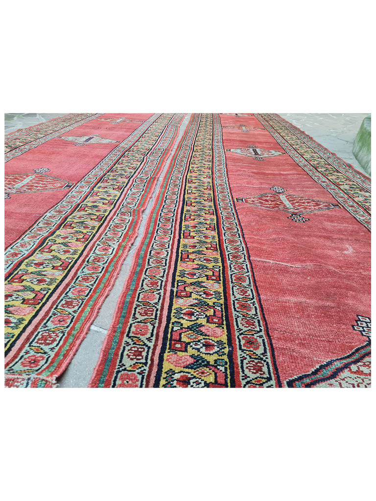 Coppia Tappeto Heriz zona bakhshayesh antico mis:515x118 cm - Image 10