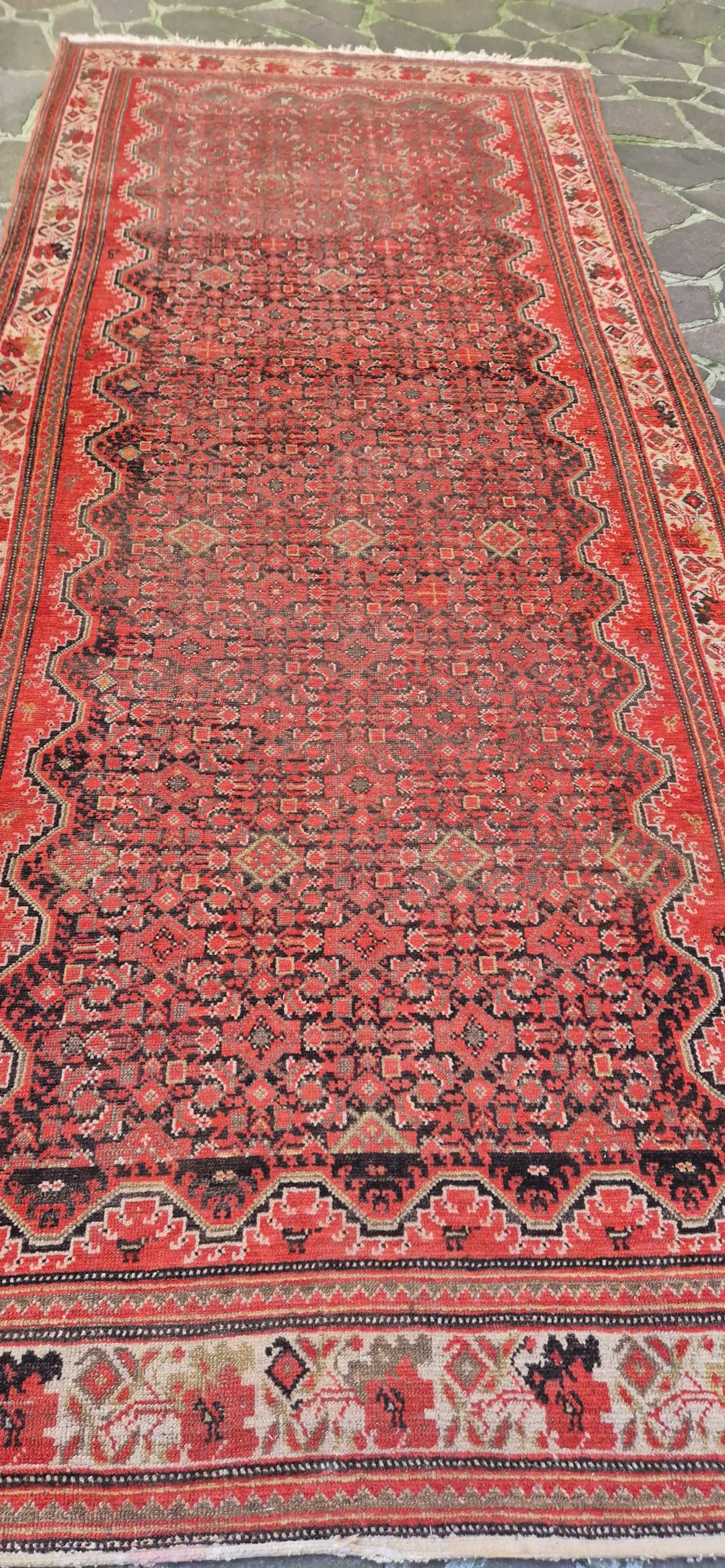 TAPPETO MALAYER PERSIANO BORDO GOL FARANG MIS: :256x150 CM - immagine 2