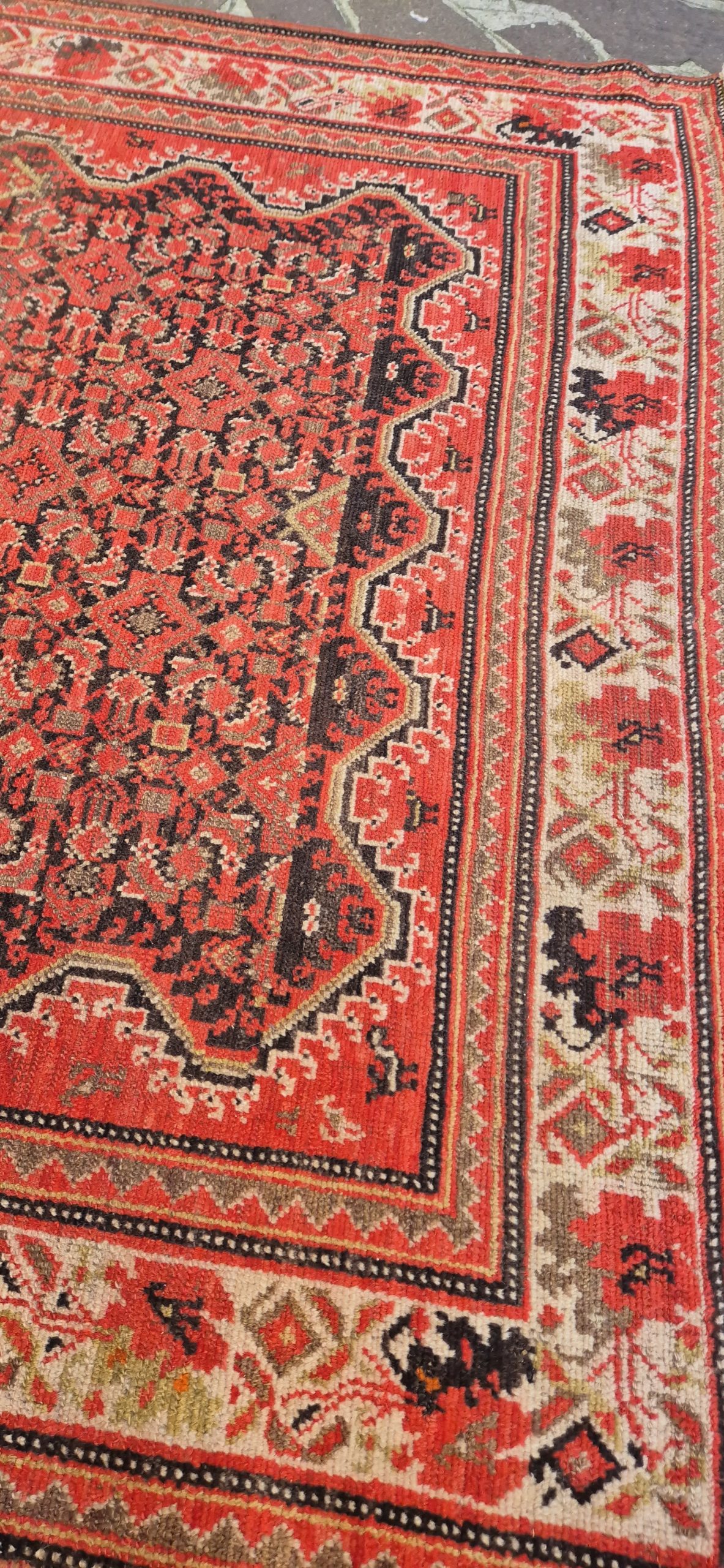 TAPPETO MALAYER PERSIANO BORDO GOL FARANG MIS: :256x150 CM - immagine 3