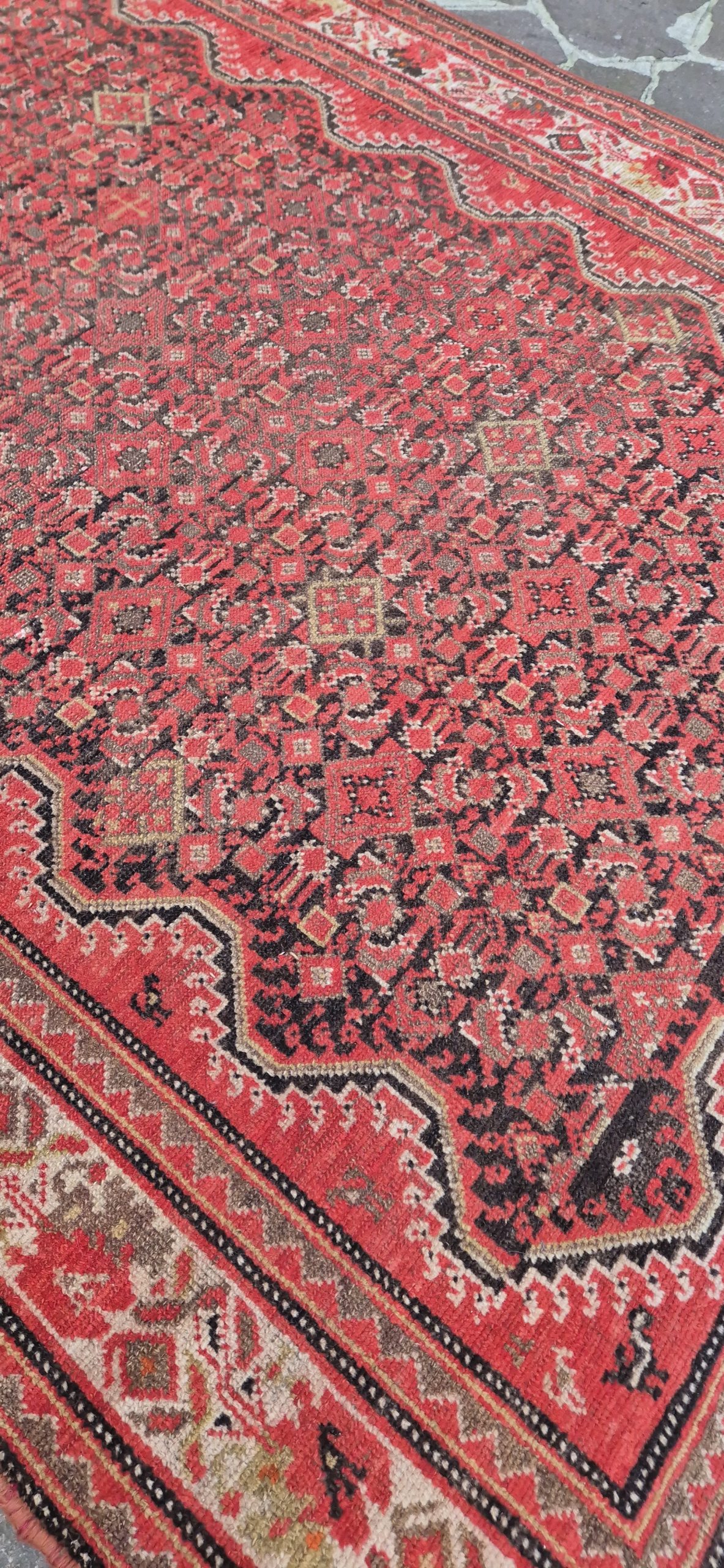 TAPPETO MALAYER PERSIANO BORDO GOL FARANG MIS: :256x150 CM - immagine 4