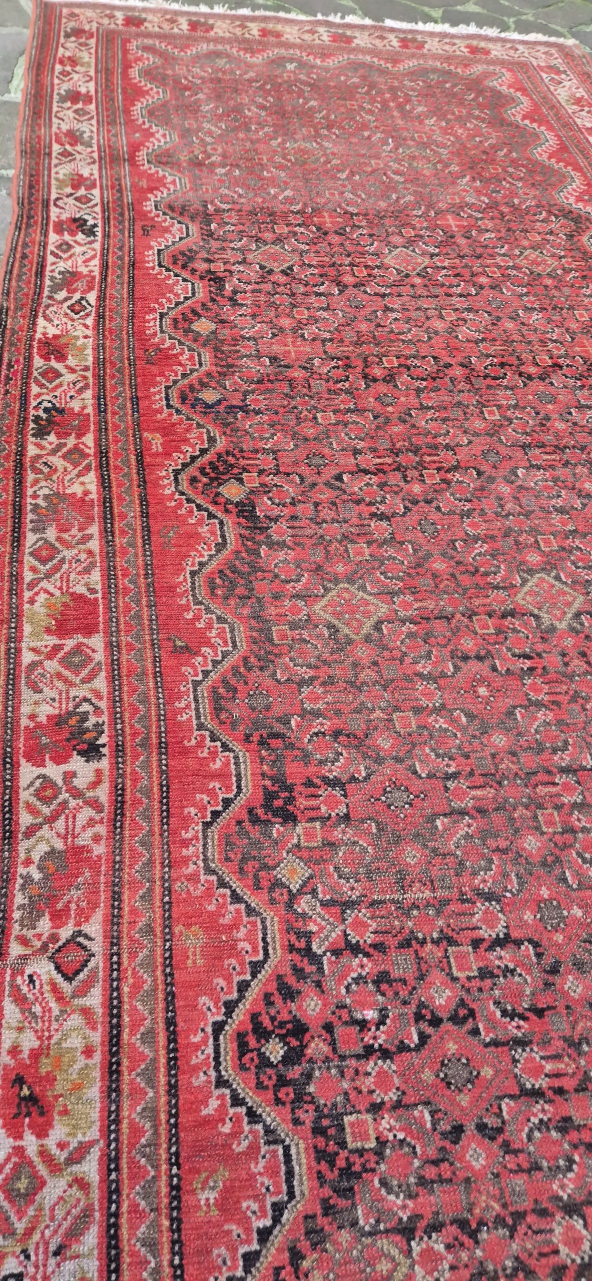 TAPPETO MALAYER PERSIANO BORDO GOL FARANG MIS: :256x150 CM - immagine 5