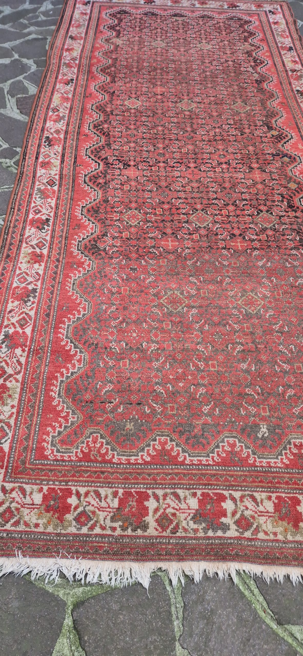 TAPPETO MALAYER PERSIANO BORDO GOL FARANG MIS: :256x150 CM - immagine 7