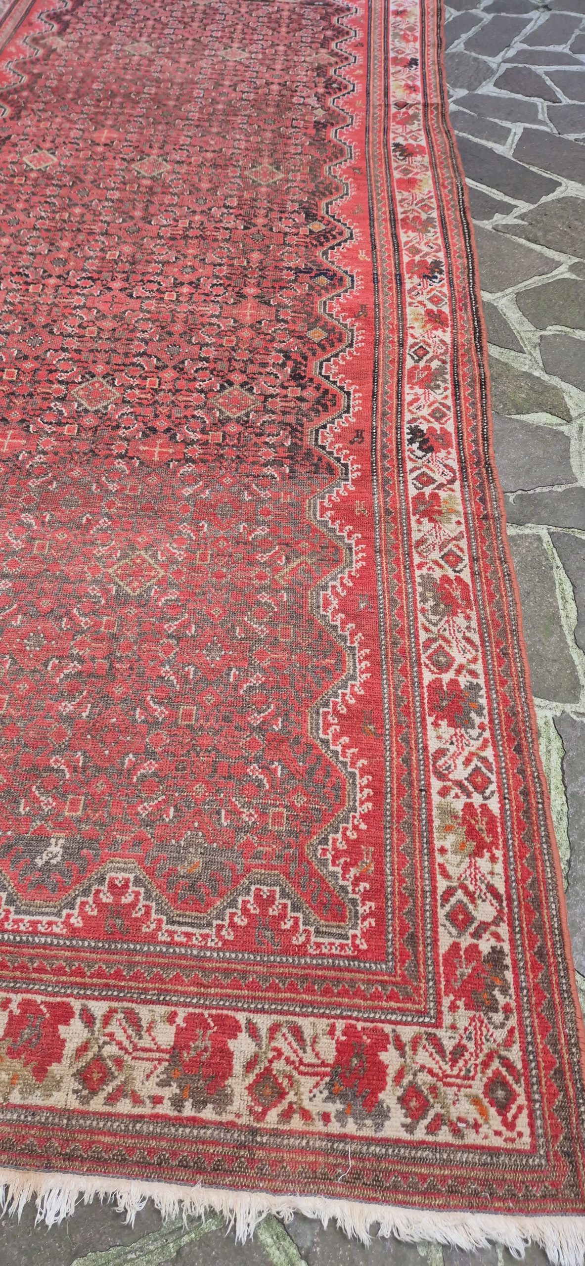 TAPPETO MALAYER PERSIANO BORDO GOL FARANG MIS: :256x150 CM - immagine 8