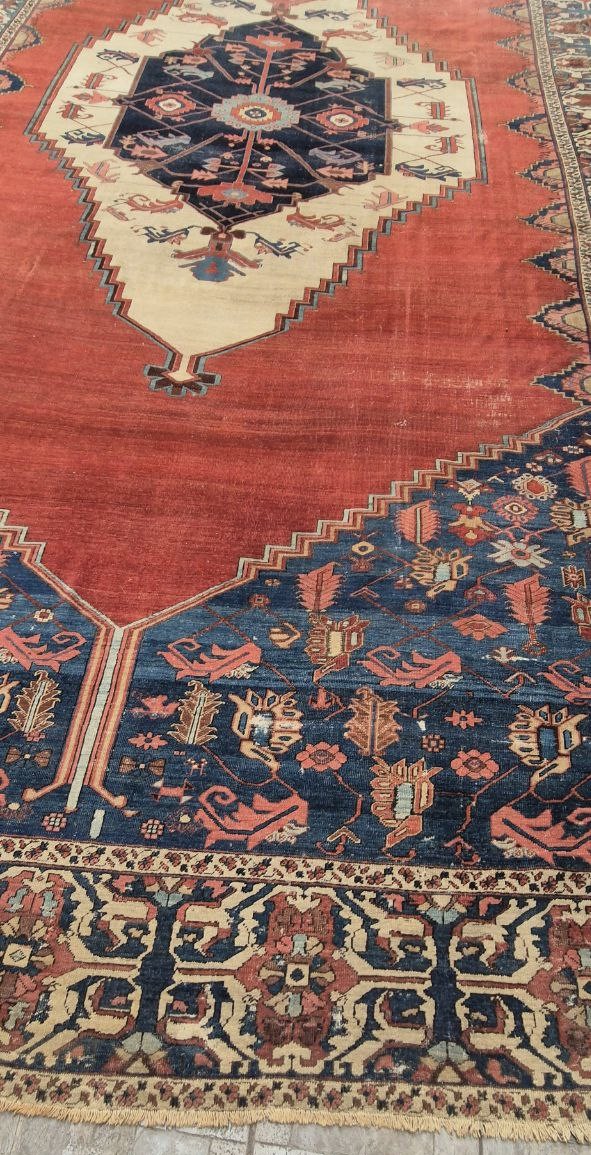 TAPPETO HERIZ BAKHSHAYESH PERSIANO ANTICO MIS:680x340 CM - immagine 11